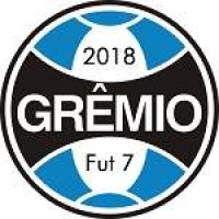 GREMIO FUT 7